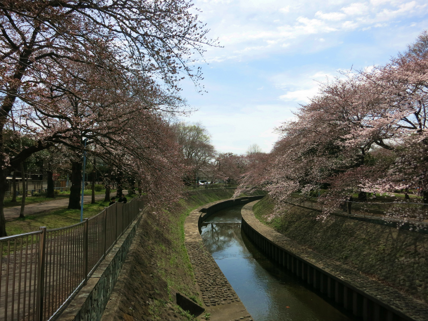 e0208058_846433.jpg