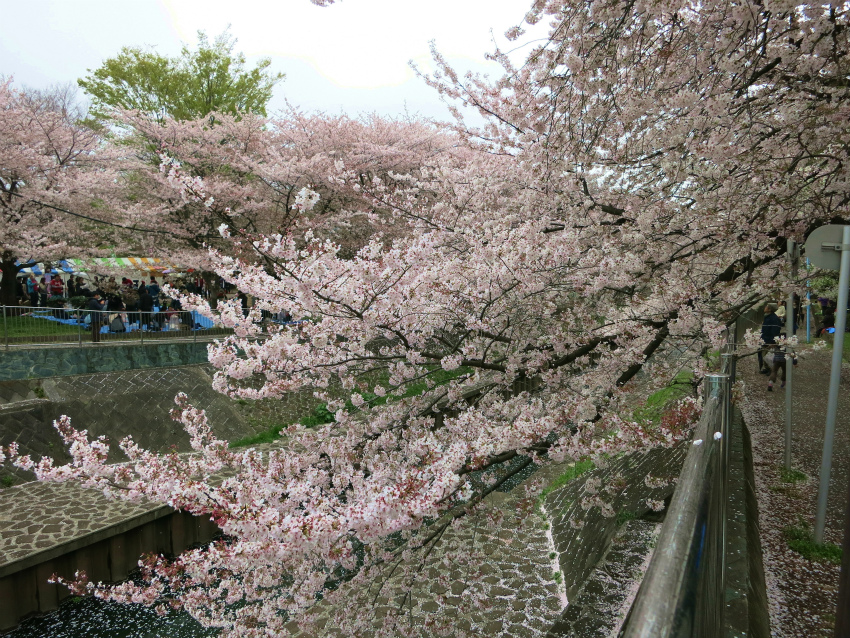 e0208058_851079.jpg
