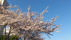 a0207564_2322256.jpg