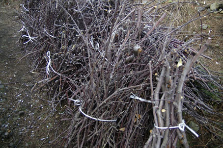 b0075364_9343719.jpg