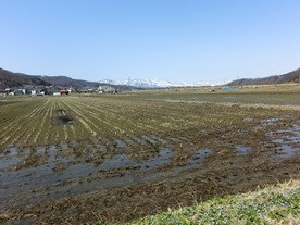 b0218664_1941282.jpg