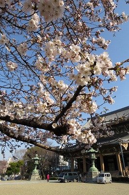 f0266165_1322395.jpg
