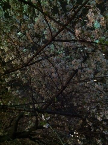 c0102268_0383787.jpg