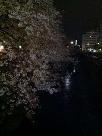 c0102268_038382.jpg