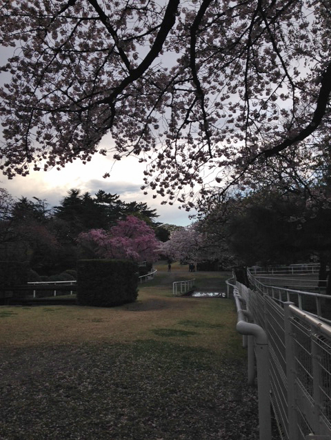 c0226874_19370470.jpg