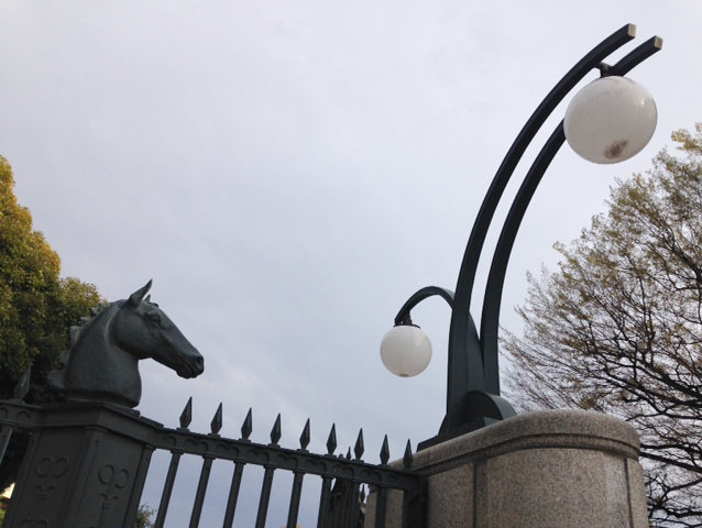 c0226874_19385230.jpg