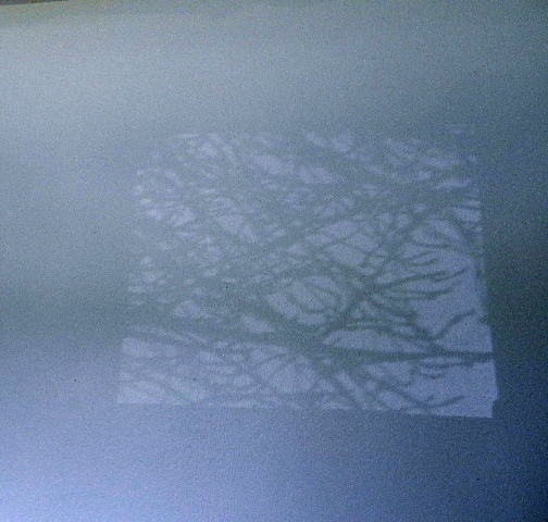 d0260278_15453117.jpg