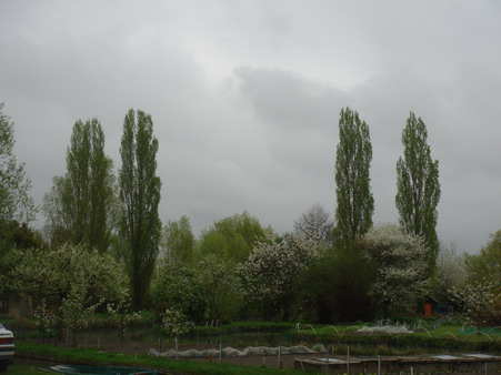a0247585_6152610.jpg