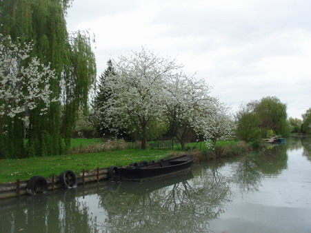 a0247585_653879.jpg