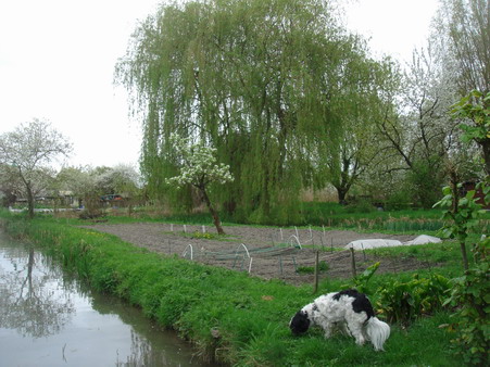 a0247585_67364.jpg