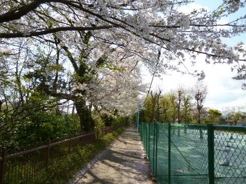 c0310987_10014252.jpg