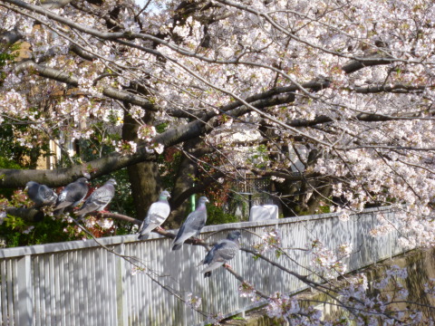 c0310987_10015085.jpg