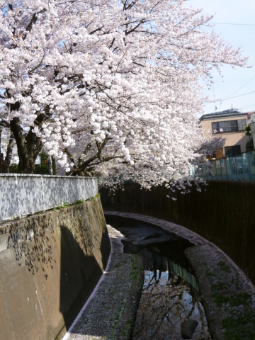 c0310987_10025724.jpg