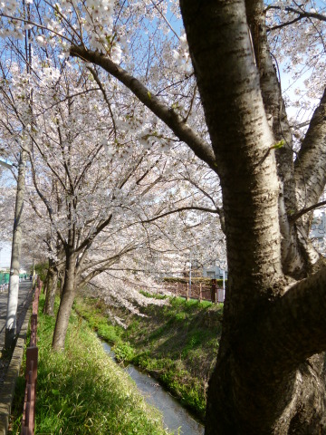 c0310987_10135536.jpg