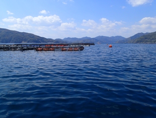 e0052088_21591452.jpg