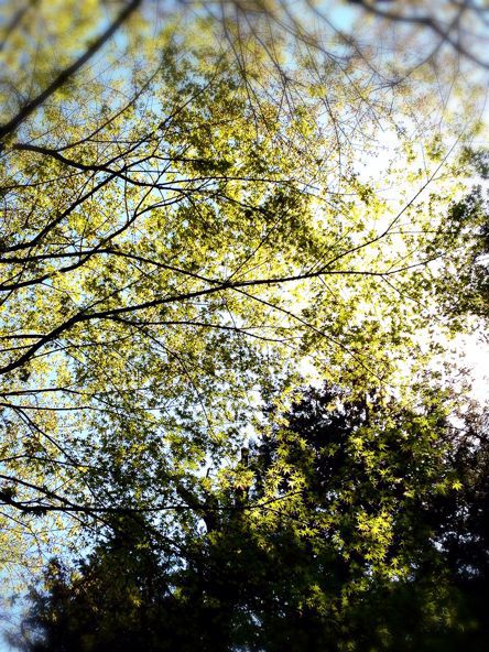 c0322890_208549.jpg