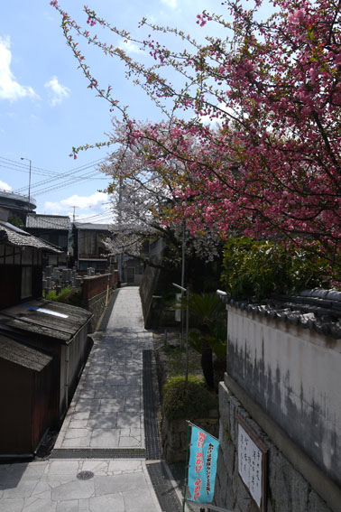 f0222692_19442691.jpg