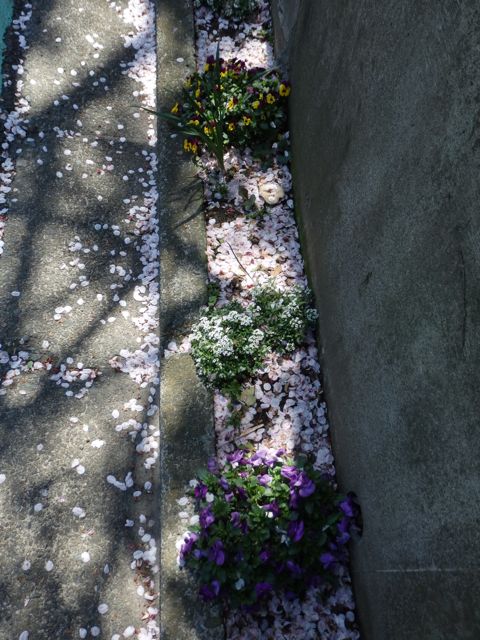 f0130894_228645.jpg