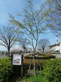b0051598_22542090.jpg