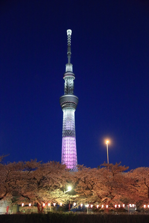 b0275998_13121564.jpg