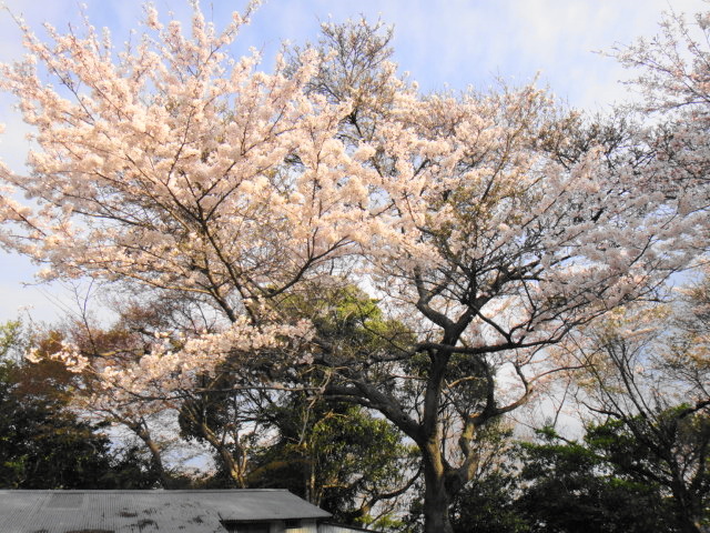 b0108100_20305134.jpg