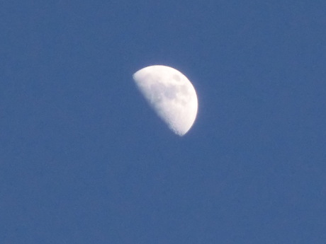 a0203003_1823794.jpg