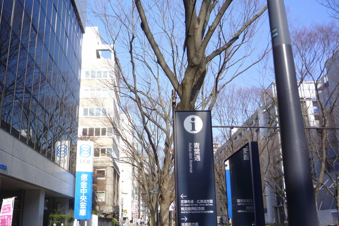 a0214206_20203367.jpg