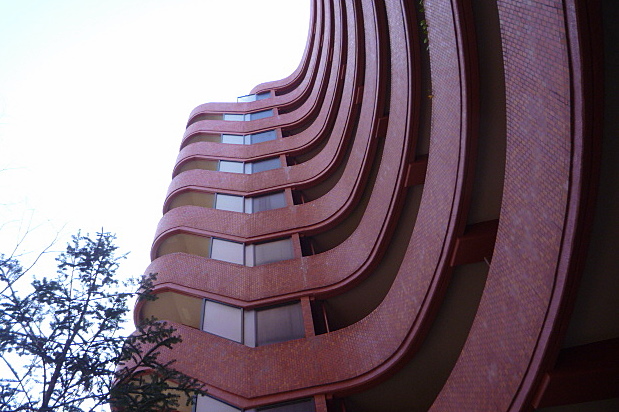 a0214206_20345267.jpg