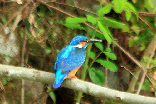 b0014607_1847096.jpg