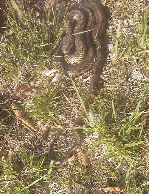 d0325609_2057340.jpg