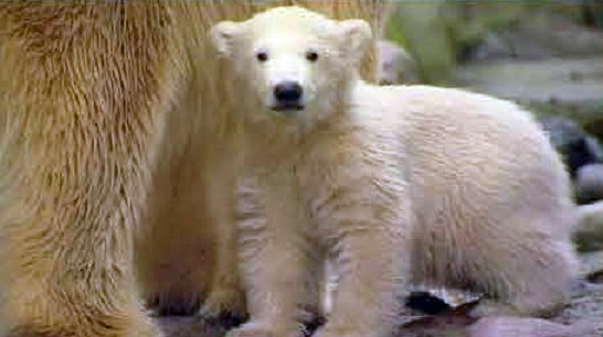 a0151913_23314691.jpg