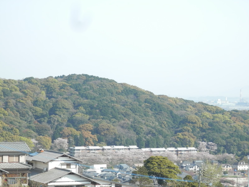 a0125419_08573471.jpg