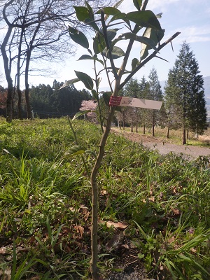 f0031420_21492327.jpg