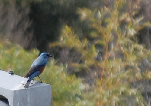 f0248120_9483815.jpg