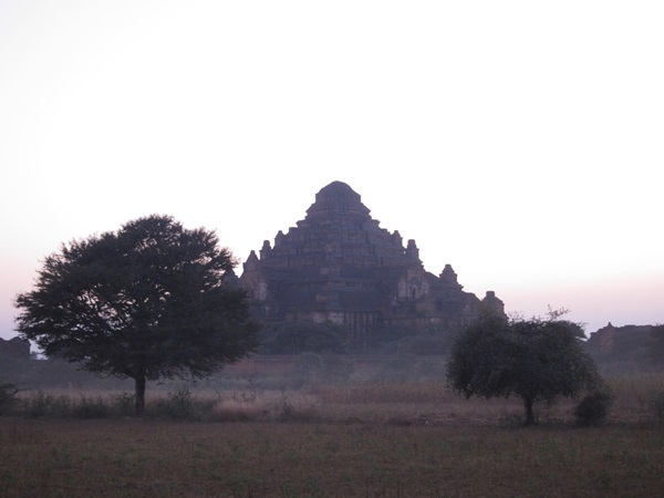 a0114521_18592637.jpg