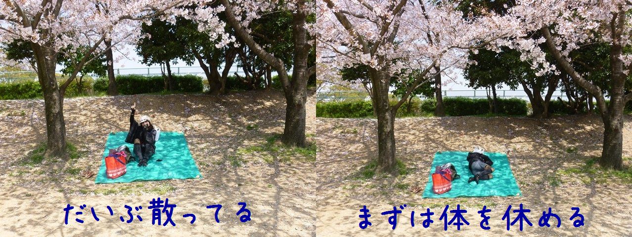 d0137326_23311562.jpg