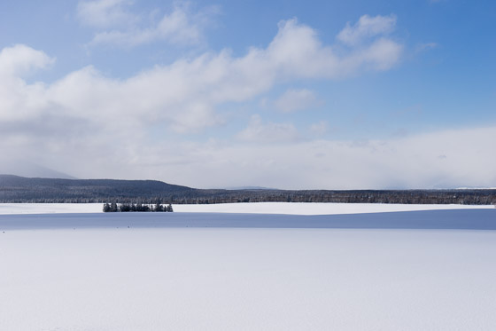 e0025030_9152121.jpg