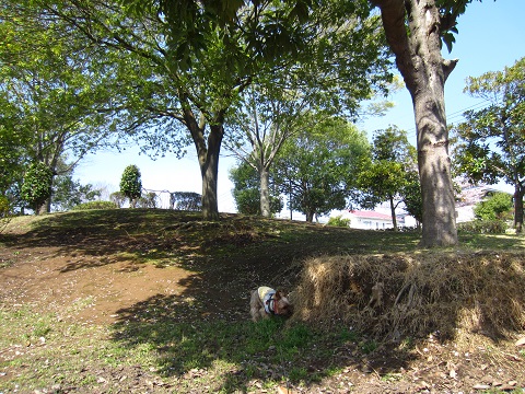 f0002833_1816502.jpg