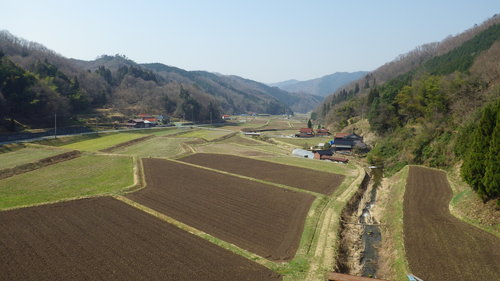 c0300035_11144383.jpg