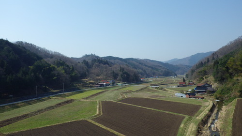 c0300035_1114559.jpg