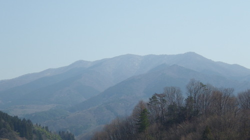 c0300035_11155868.jpg