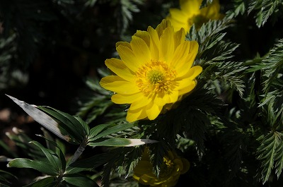 d0252835_6594079.jpg
