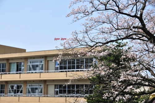 b0311736_14202825.jpg