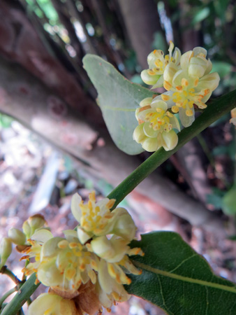 f0234936_551843.jpg