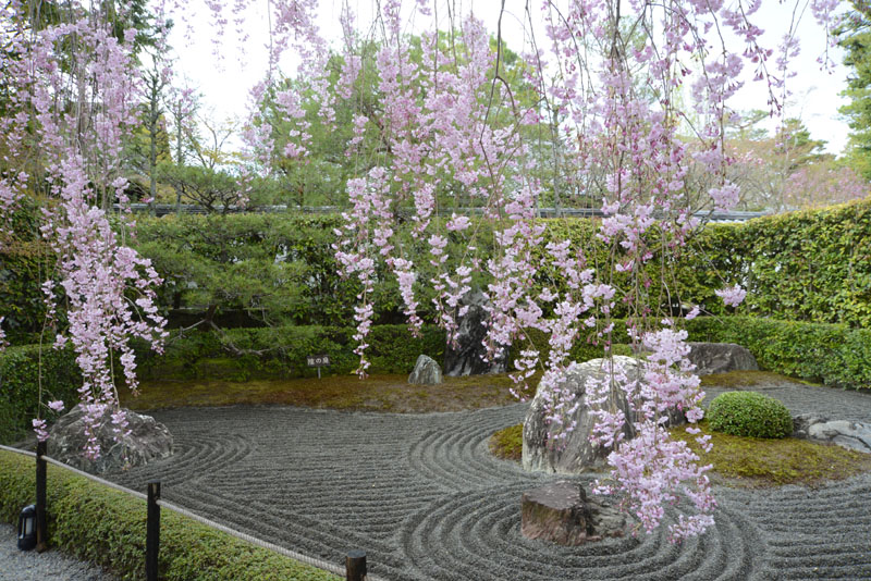 b0042837_2134129.jpg