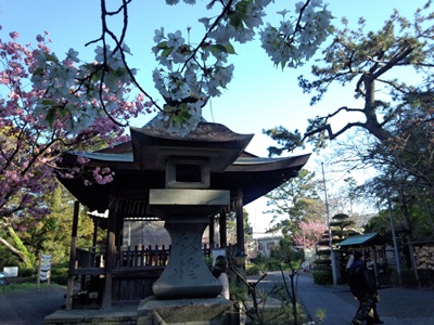 b0135438_0202387.jpg
