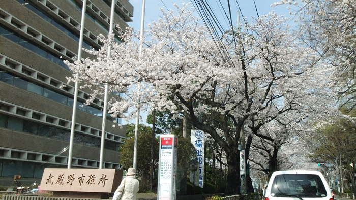 c0071545_23543725.jpg