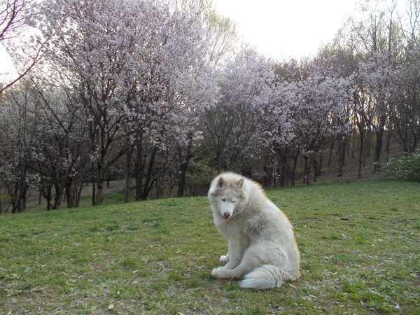 e0121548_215714.jpg