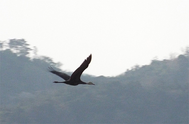 f0214649_181128.jpg