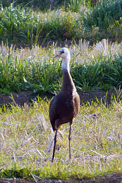 f0214649_1894950.jpg